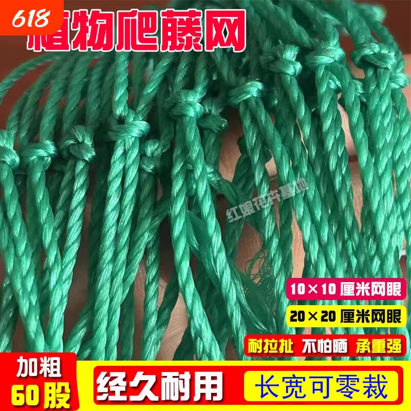 爬藤网植物瓜果丝瓜苦瓜吊瓜葡萄瓜蒌豆角百香果攀爬网菜园绳子