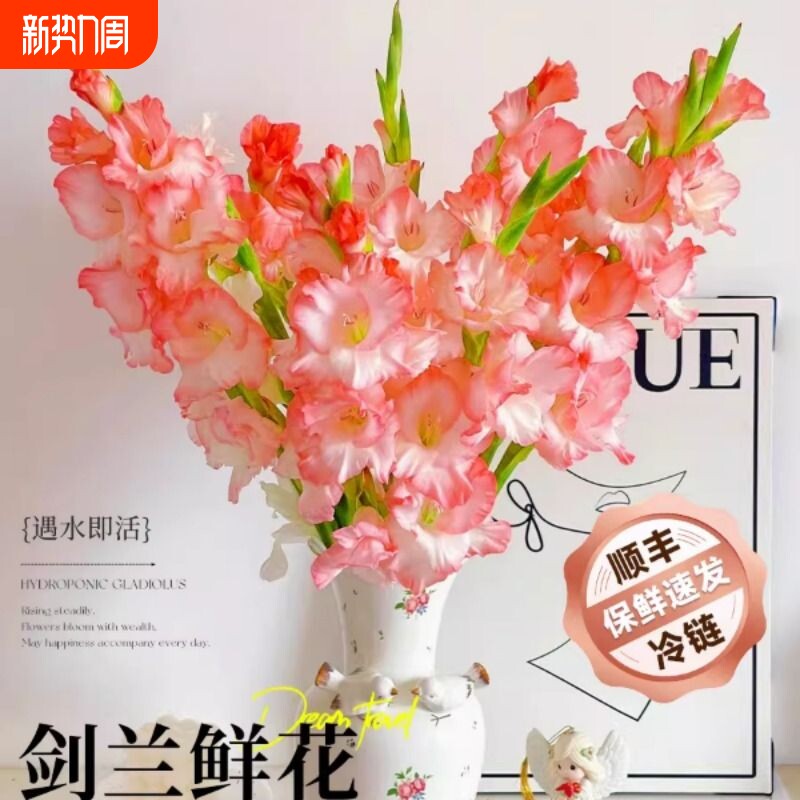 剑兰鲜花云南基地直发玫瑰百合花卉家用插花鲜切花真花超长花期