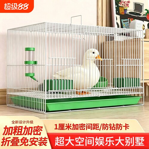 柯尔鸭专用笼子小鸭子鸭笼家用室内柯达防臭鸡笼鹌鹑笼大空间加密