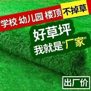 仿真草坪地毯人造草皮屋顶铺垫户外阳台装饰假草坪庭院露台幼儿园