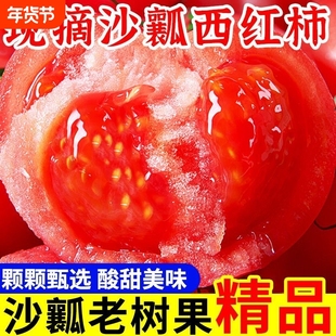 攀枝花西红柿新鲜自然熟高山露天种植农家蔬菜老品种有籽沙瓤番茄