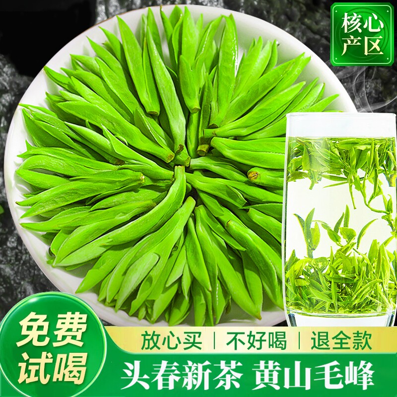 黄山毛峰头采新茶特级明前毛峰安徽绿茶高山嫩芽毛尖散装茶叶500g