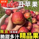 整箱批发 新果冰糖心苹果水果脆甜新鲜多汁当季 高原丑苹果