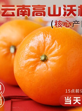 「官方推荐」新鲜现摘沃柑！现货