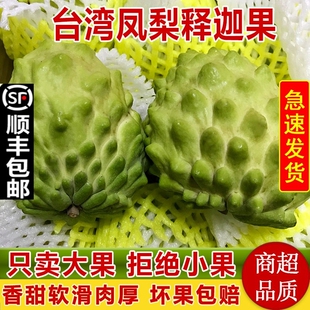台湾凤梨大目释迦果5斤大果新鲜农产品 番荔枝牛奶释迦摩尼果