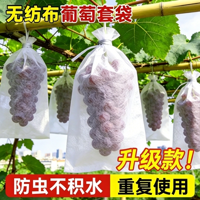 无纺布葡萄套袋水果新型防虫防水