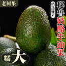 进口秘鲁 包邮 哈斯牛油果15个新鲜水果一级应当季 整箱鳄梨