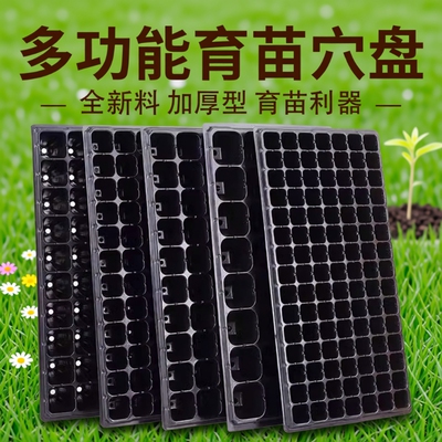 育苗穴盘家庭育苗种植神器套装