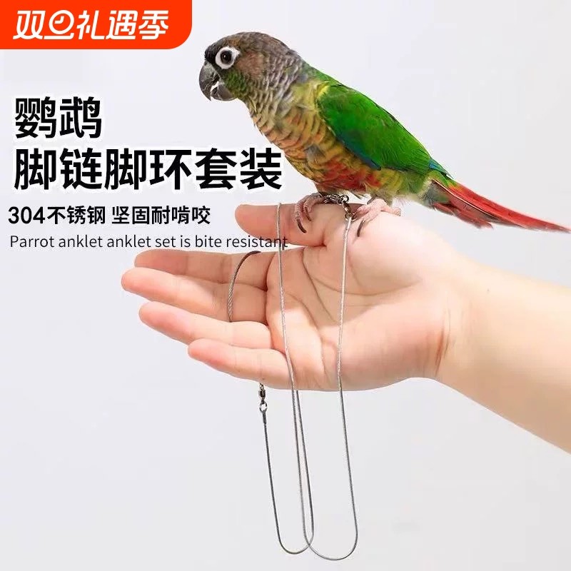 鹦鹉不锈钢脚链放飞绳牵引绳超轻不伤脚鸟用外出遛鸟绳脚环逗鸟绳