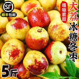 正宗陕西大荔新鲜冬枣5斤特大枣水果现摘当季甜脆枣青枣顺丰包邮