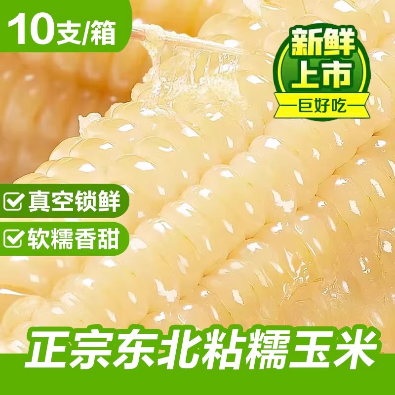 东北玉米糯玉米新鲜白糯玉米真空包装软黏粘加热即食甜糯米玉米棒