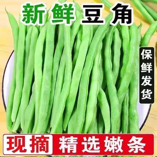 【新鲜现摘】云南高山四季豆鲜现摘筋豆豆角农家刀豆芸豆蔬菜批发