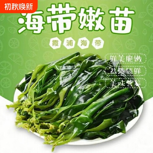 火锅食材海带苗特级新鲜海带苗裙带菜苗霞浦盐渍凉拌菜商用批发