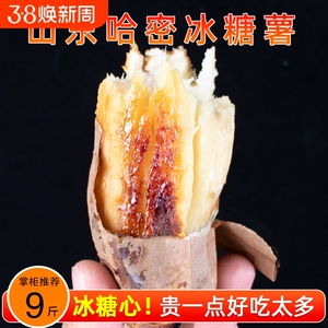 山东哈密冰糖薯新鲜白心蜜薯糖心红薯农家自种沙地番薯地瓜农场