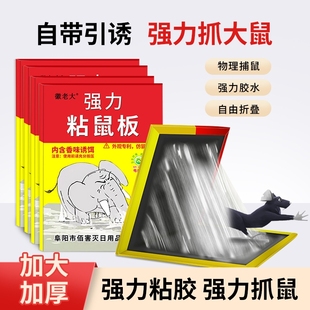 正品 强力粘鼠板超强粘力老鼠贴抓大老鼠灭鼠笼捕鼠神器家用30张