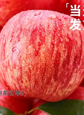 沂源红富士苹果正宗中庄新鲜水果整箱当季现摘不打蜡甜脆非糖心