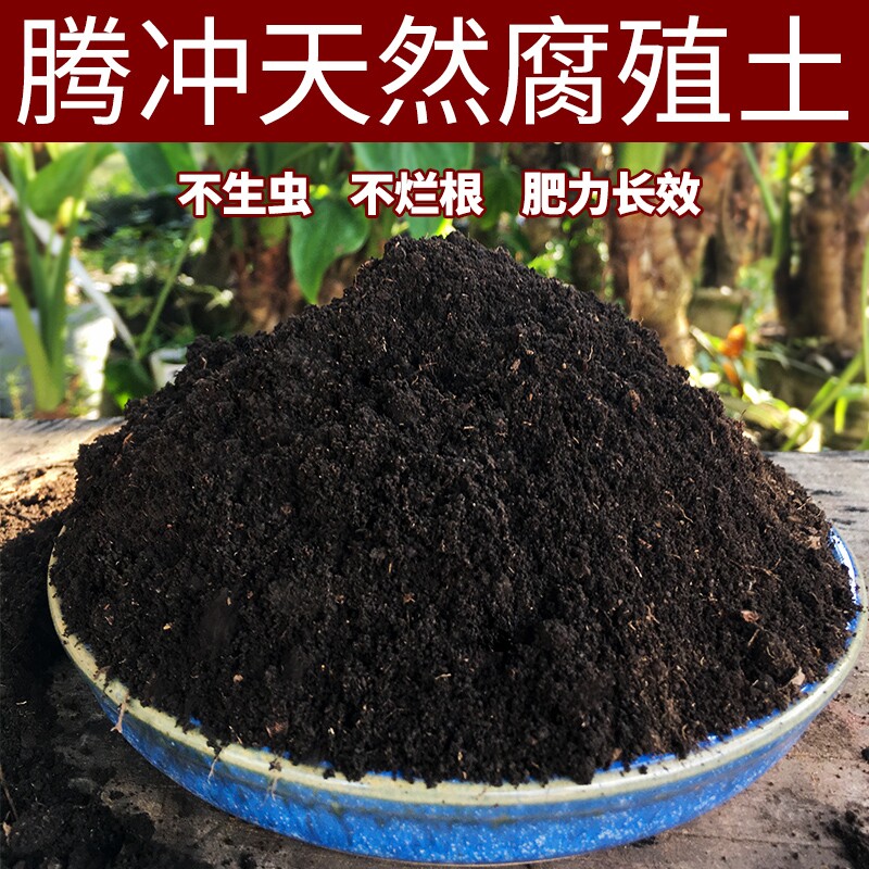 云南腐叶土养花种菜专用种植土壤通用型营养土腐熟松针腐殖土疏松