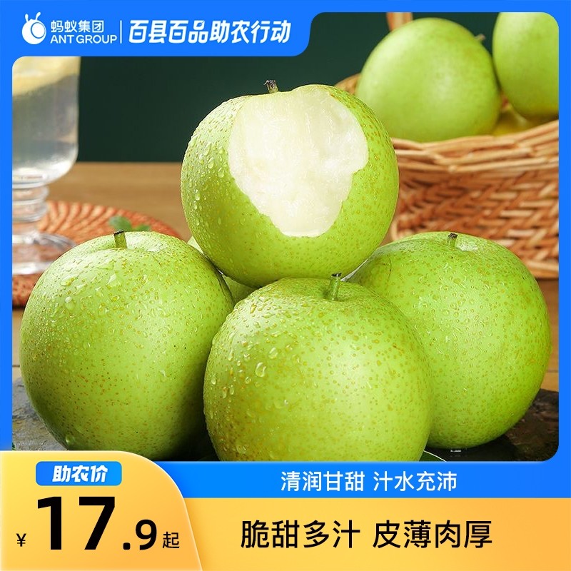 8月百县百品助农河南范县青皇冠梨3斤鲜果行动脆甜多汁,水产肉类/新鲜蔬果/熟食,梨,淘宝优惠券,粉丝福利购,淘宝优惠卷