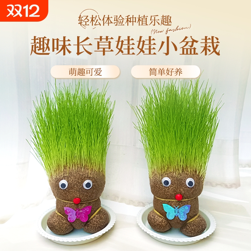 趣味长草娃娃小盆栽简单好养