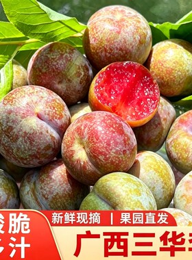 红心三华李现货5斤新鲜水果广西