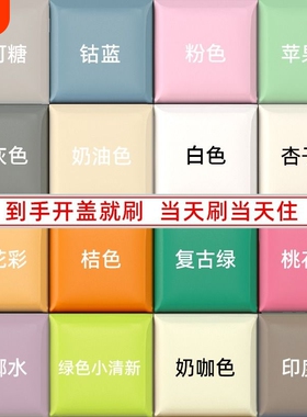 乳胶漆油漆室内家用墙面修复粉刷墙漆翻新白色内墙漆自刷涂料净味