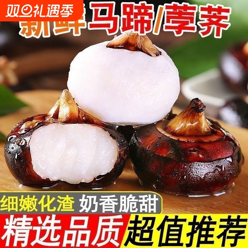 现挖现发荸荠甜地栗孕妇水果脆甜