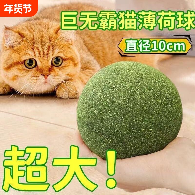 超大号猫薄荷球猫玩具巨型虫瘿果玩具球自嗨解闷神器猫咪用品大全