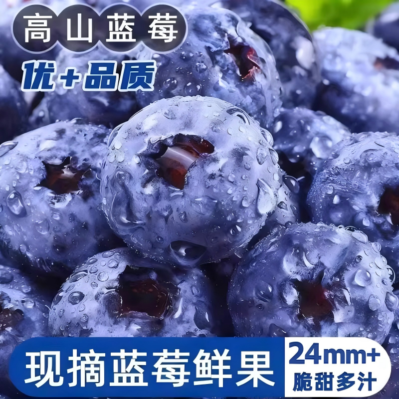 现摘蓝莓鲜果花香野生新鲜水果怡颗梅l25大果整箱顺丰自提罕见