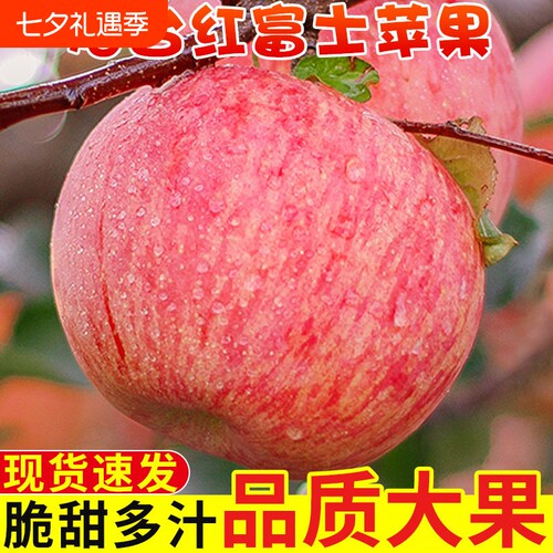 正宗山东烟台红富士苹果