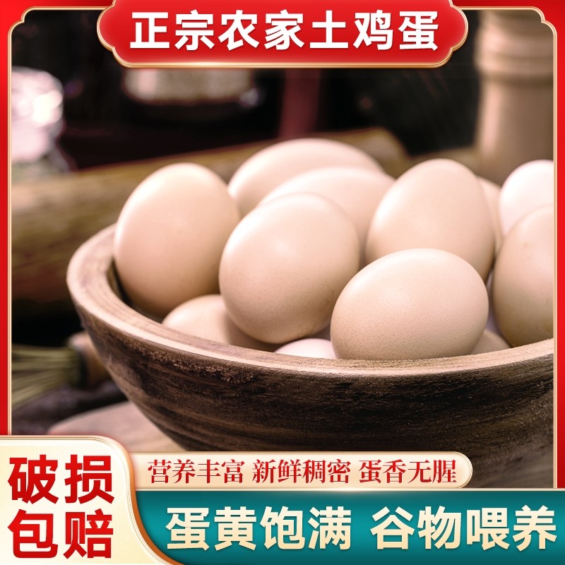 农村山林散养土鸡蛋新鲜现捡现发笨鸡蛋农家散养柴鸡蛋林间鸡蛋