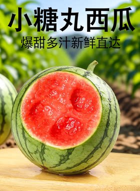小糖丸西瓜脆甜爆汁应季水果新鲜发货冰糖薄皮西瓜麒麟西瓜小吊瓜