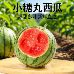 小糖丸西瓜脆甜爆汁应季水果新鲜发货冰糖薄皮西瓜麒麟西瓜小吊瓜