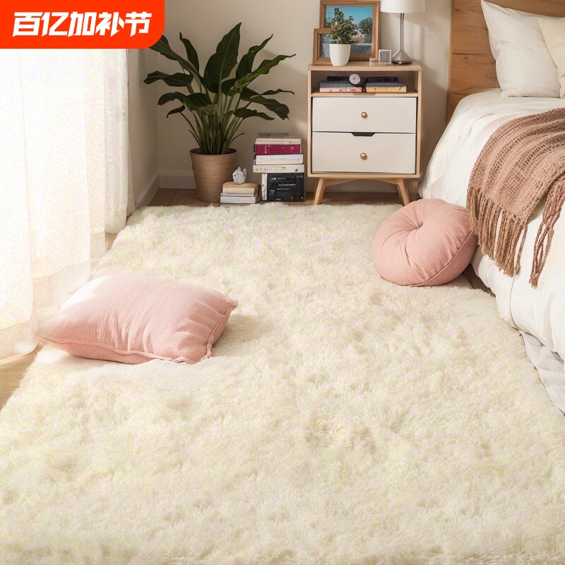 地毯卧室地垫床边毯加厚坐垫少女房间客厅茶几毯毛毯沙发入户阳台