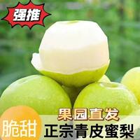 【阿里自营】安徽宿州砀山梨4.5斤单果250G+