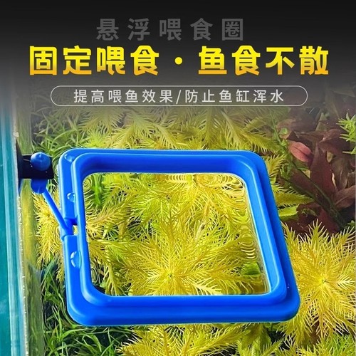 鹦鹉鱼乌龟鱼缸鱼食漂浮喂食圈悬浮鱼儿投食圈锦鲤大号固定喂鱼