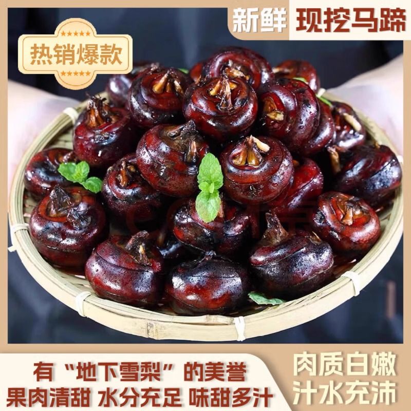 安徽特产现挖水晶马蹄