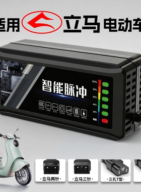 适配立马电动车电瓶充电器48V12AH60V72V20A新国标铅酸石墨烯通用