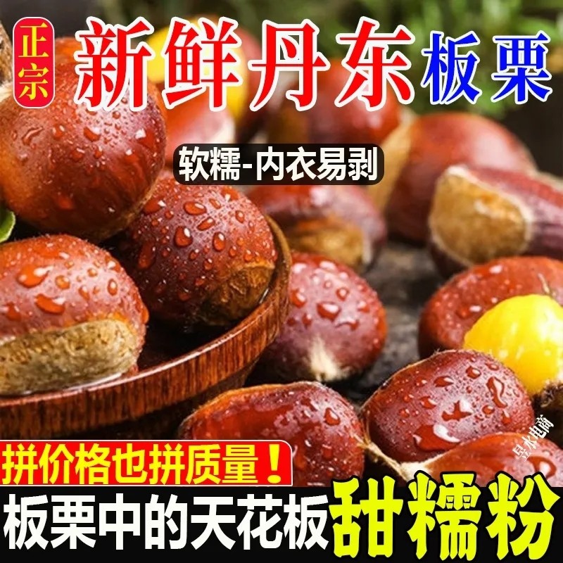 丹东板栗2025新鲜当季嫩野生板栗毛栗子农甲生板栗粉糯非锥栗