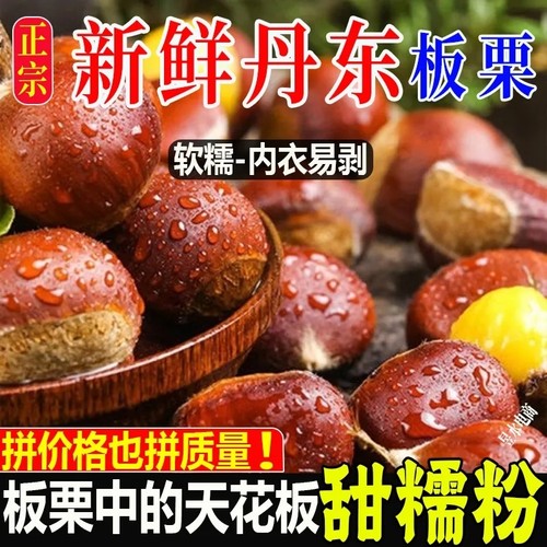 丹东板栗2025新鲜当季嫩野生板栗毛栗子农甲生板栗粉糯非锥栗