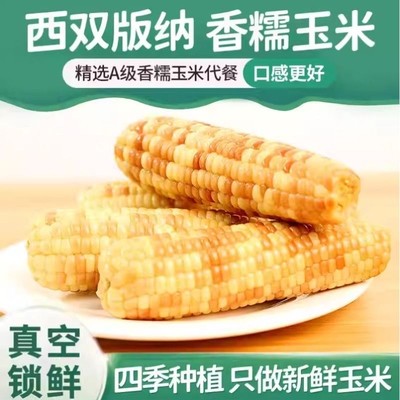 缤纷版纳云南香糯玉米新鲜采摘花糯玉米真空包装早餐代餐减脂煮粥