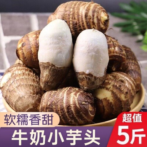 山东潍坊芋头现挖新鲜奶油芋头