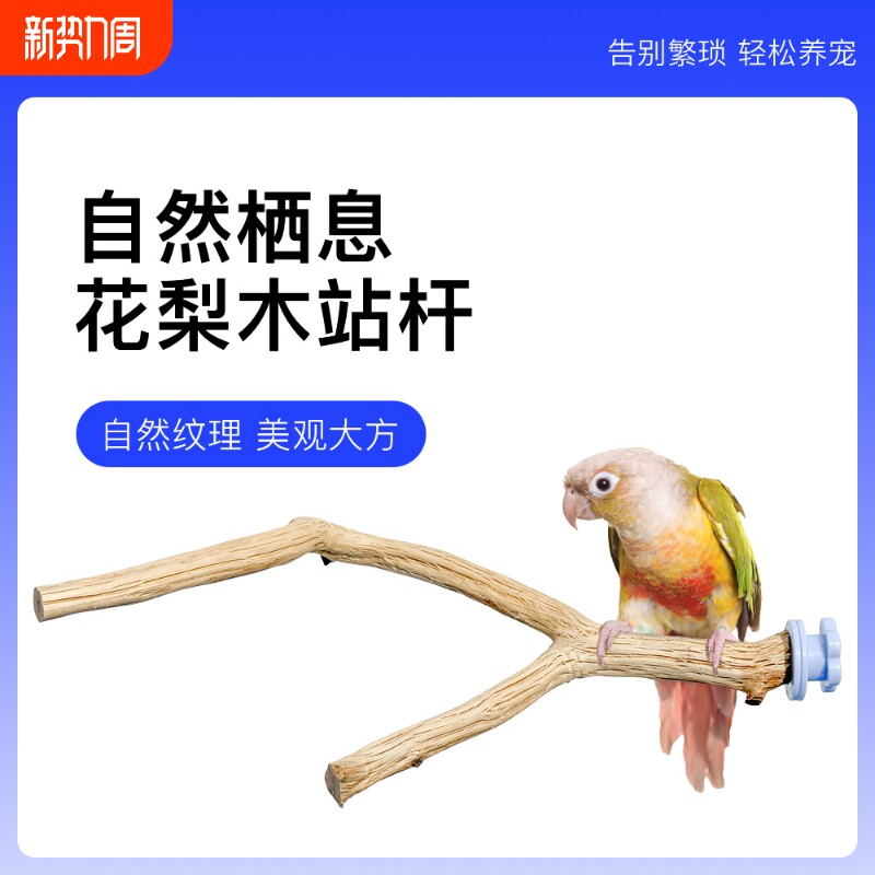 青松宠鹦鹉花梨木站杆天然原木树枝虎皮牡丹玄凤站架鸟笼造景秋千
