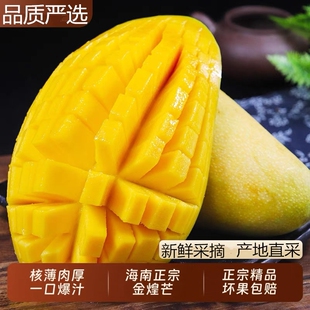海南黄皮金煌芒果水仙芒果整箱9斤新鲜现摘当季热带水果核小5大果