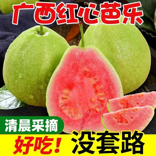 广西红心番石榴软糯芭乐果现摘孕妇水果235斤应季新鲜水果包邮