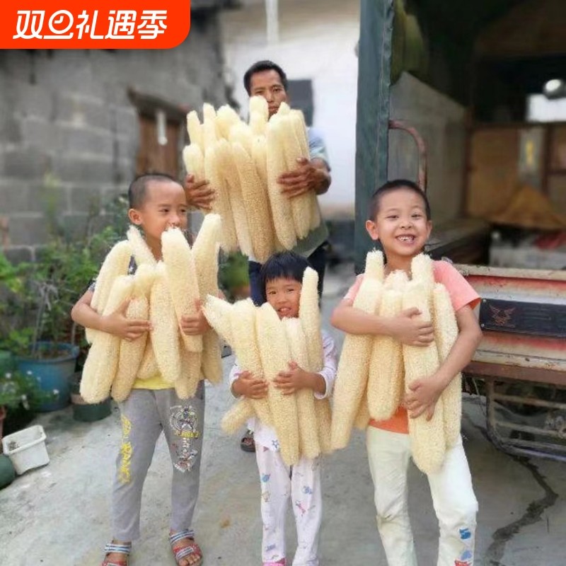 丝瓜洗碗老丝瓜瓤刷锅清洁不沾油