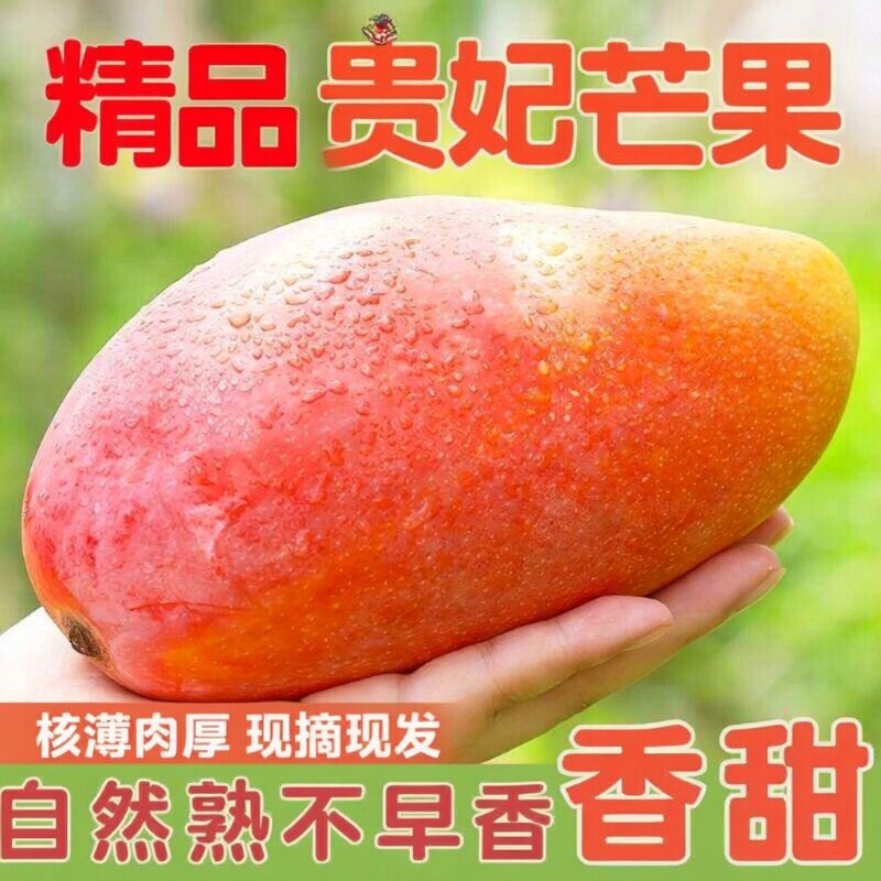 海南贵妃芒水果芒果新鲜红金龙芒当季整箱当季直供香甜多汁