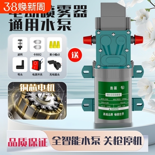 电动喷雾器高压泵12v电机马达配件大全打药机大功率水泵隔膜泵