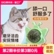 猫薄荷球猫玩具磨牙耐咬解闷神器幼猫小猫猫咪自嗨舔舔乐用品虫瘿