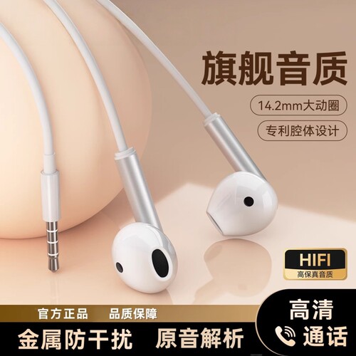 有线耳机半入耳入耳式type-C电脑K歌适用于苹果华为小米苹果桃李