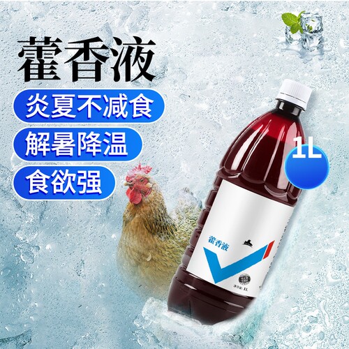 藿香液兽用1L解暑中暑降温鸡鸭鹅